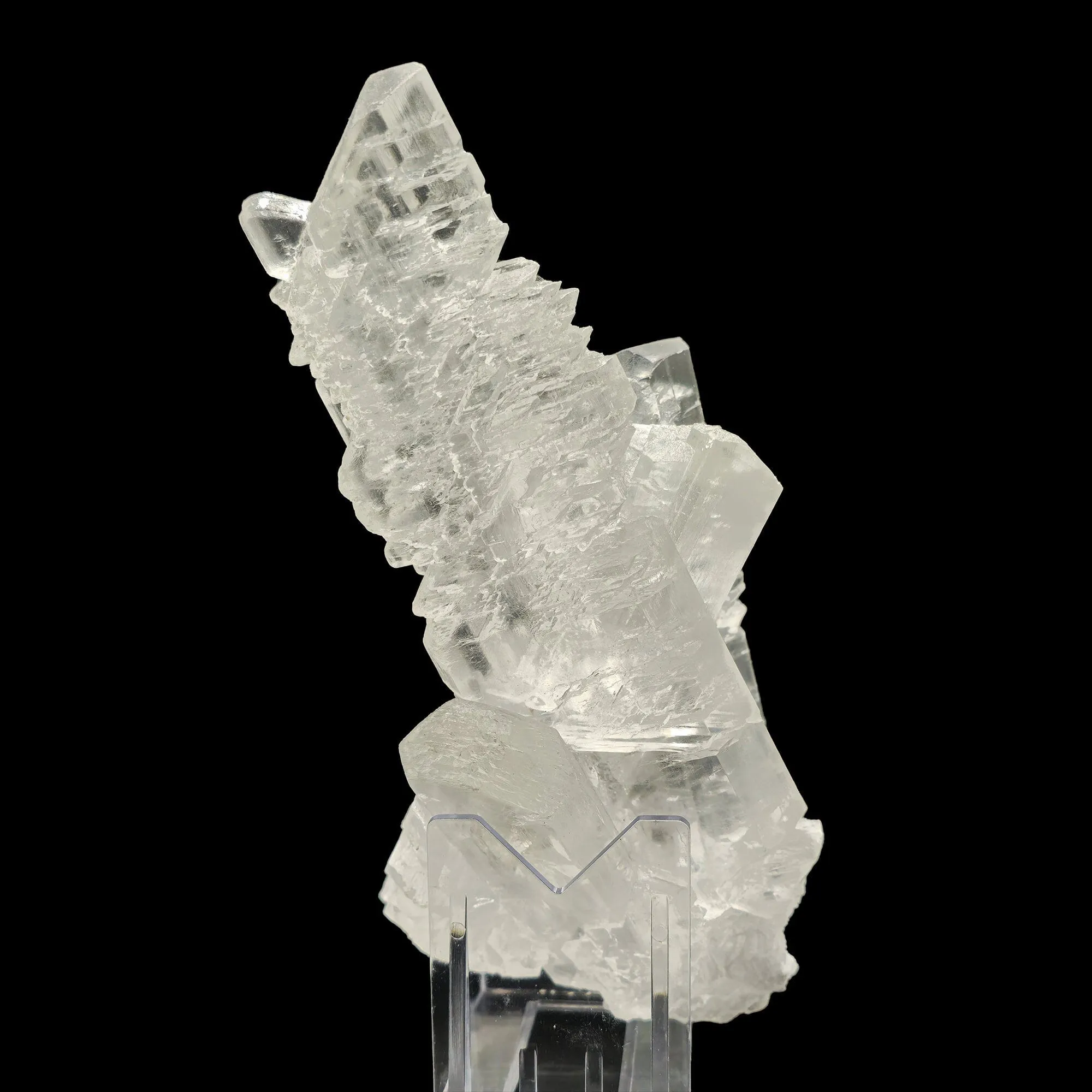 Fish Tail Selenite (Gypsum) Natural Mineral Specimen. - image 3