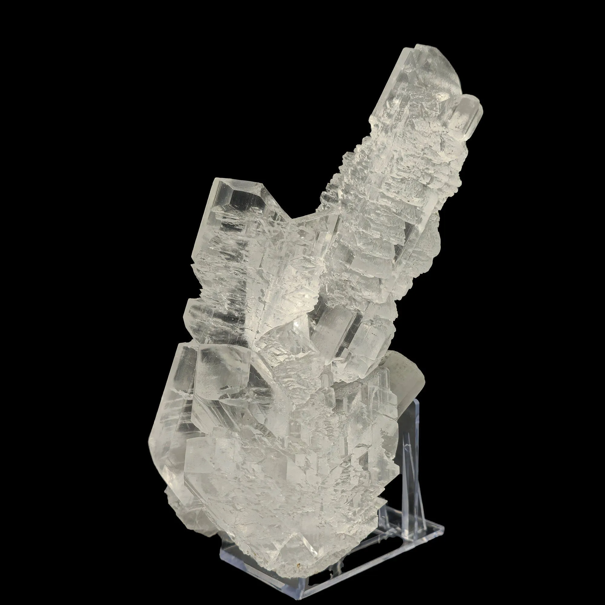 Fish Tail Selenite (Gypsum) Natural Mineral Specimen. - image 2