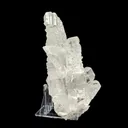 Fish Tail Selenite (Gypsum) Natural Mineral Specimen. - image 4