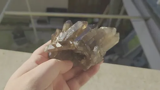 specimen video