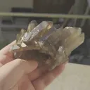 specimen video