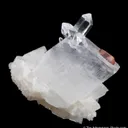 Florencite-(Ce) on Magnesite with Quartz -  (illustrated) - image 4