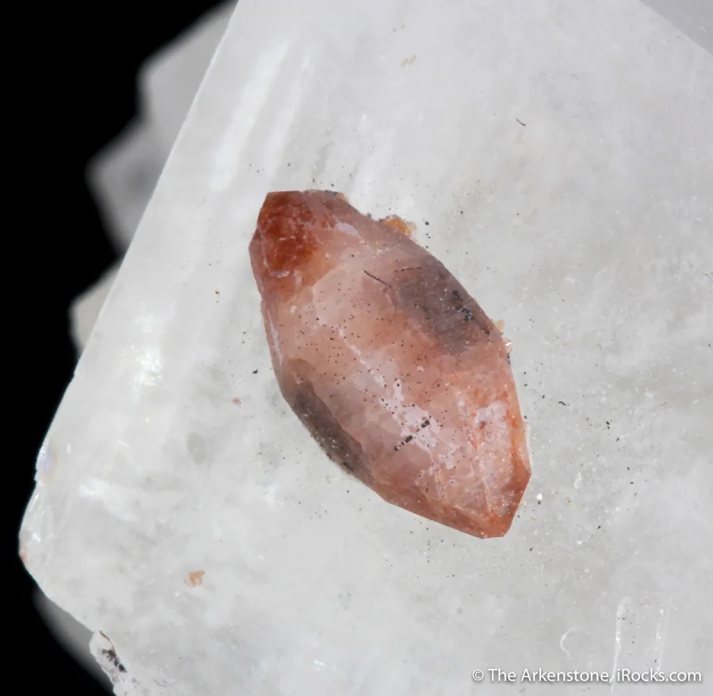 Florencite-(Ce) on Magnesite with Quartz -  (illustrated) - image 2