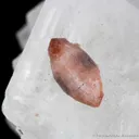 Florencite-(Ce) on Magnesite with Quartz -  (illustrated) - image 2