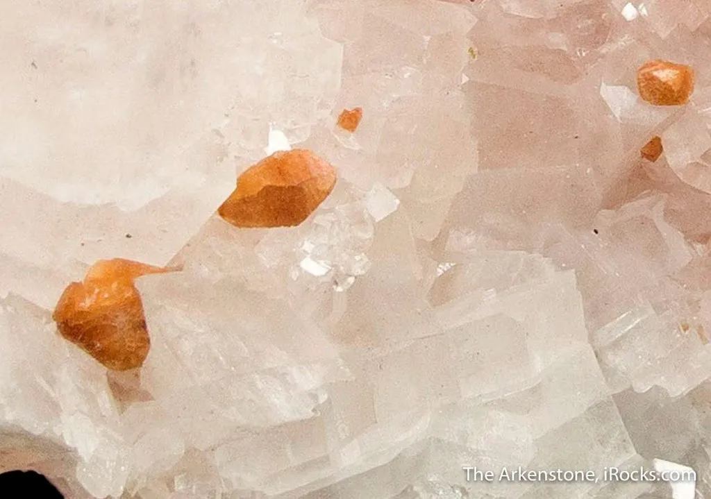 Florencite-(Ce) on Magnesite with Uvite image