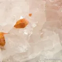 Florencite-(Ce) on Magnesite with Uvite - image 1