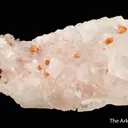Florencite-(Ce) on Magnesite with Uvite - image 4