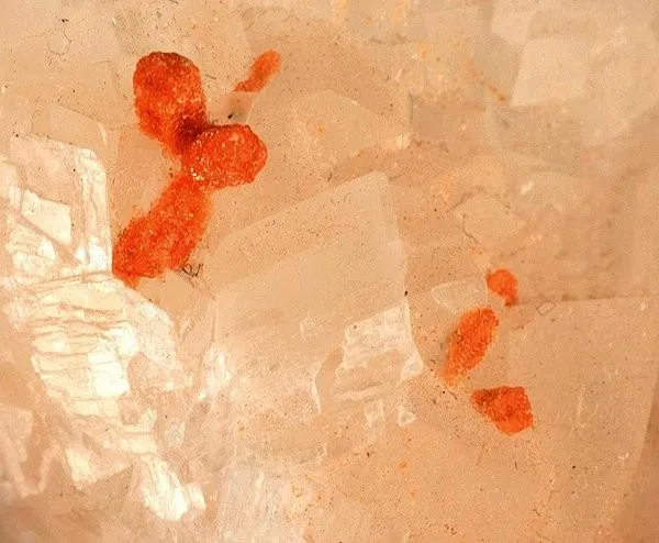 Florencite-(Ce), Quartz, Magnesite - image 2