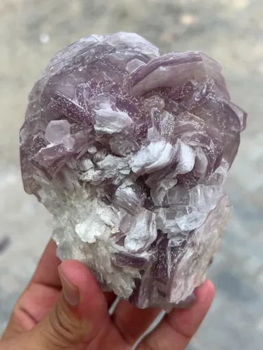 specimen video