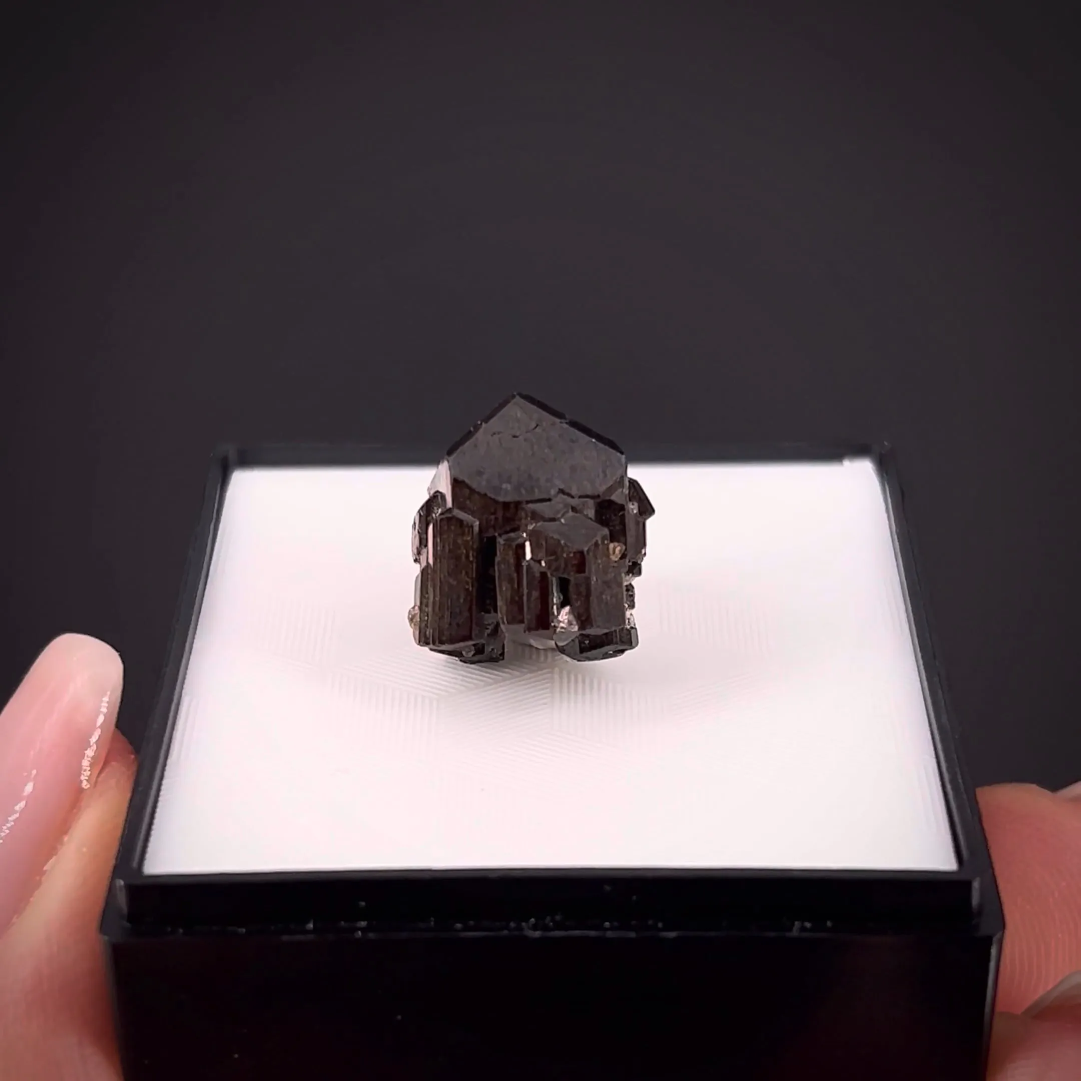 Fluor-Buergerite - image 2