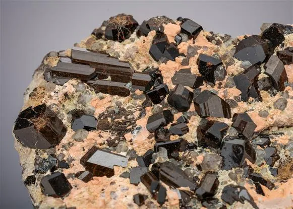 Fluor-Buergerite image