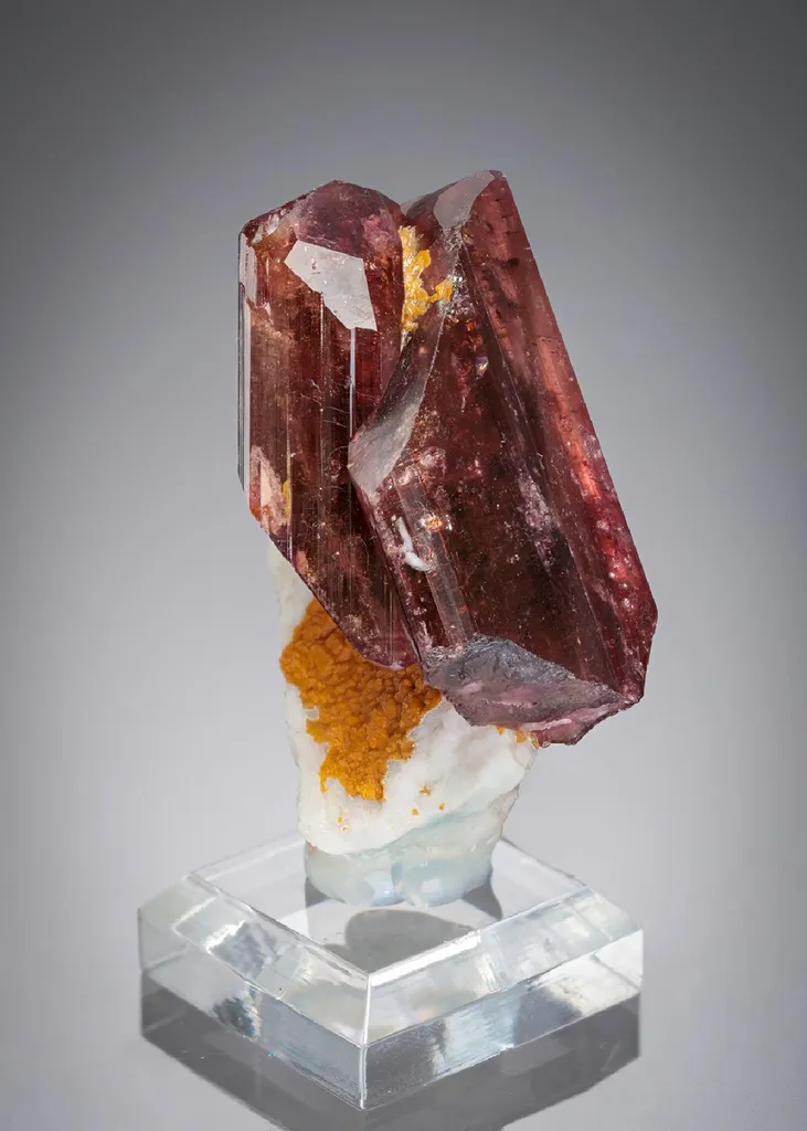 FLUOR-Liddicoatite image