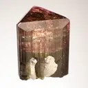 FLUOR-Liddicoatite - image 3