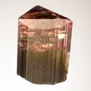 FLUOR-Liddicoatite - image 2