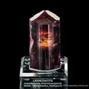 Fluor-Liddicoatite Tourmaline - image 6