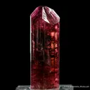 Fluor-Liddicoatite Tourmaline - image 5