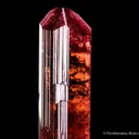Fluor-Liddicoatite Tourmaline - image 6