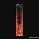 Fluor-Liddicoatite Tourmaline - image 3