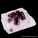 Fluor-Liddicoatite (Tourmaline) on Microcline - image 3