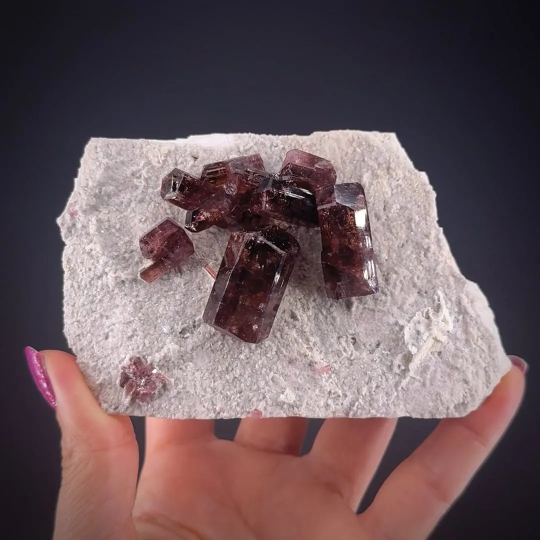 Fluor-Liddicoatite (Tourmaline) on Microcline - image 1