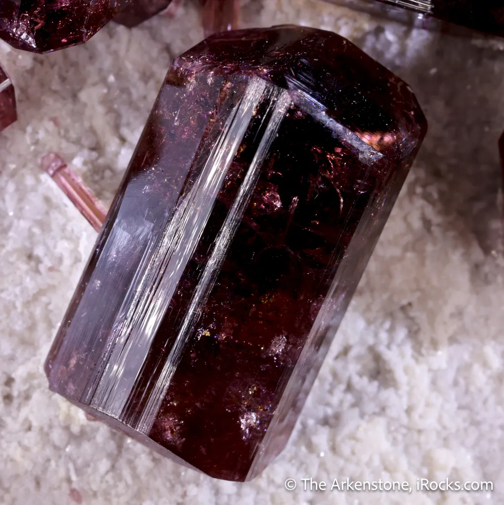 Fluor-Liddicoatite (Tourmaline) on Microcline - image 4