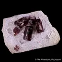 Fluor-Liddicoatite (Tourmaline) on Microcline - image 5