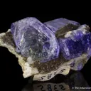Fluorapatite (1960's glory pocket) - image 2