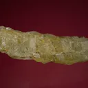 Fluorapatite - image 4