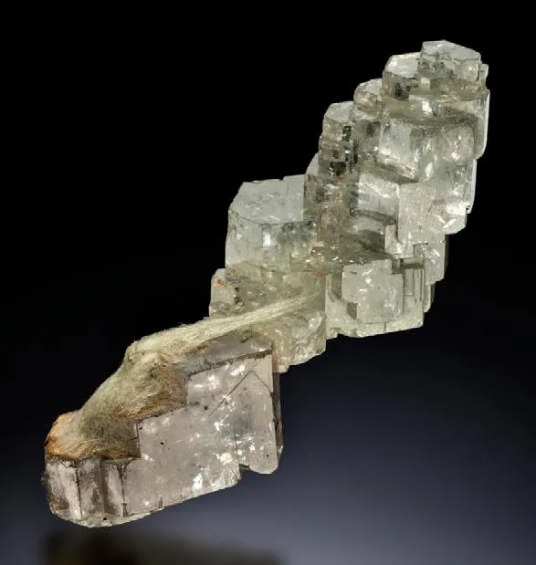 Fluorapatite, Actinolite image