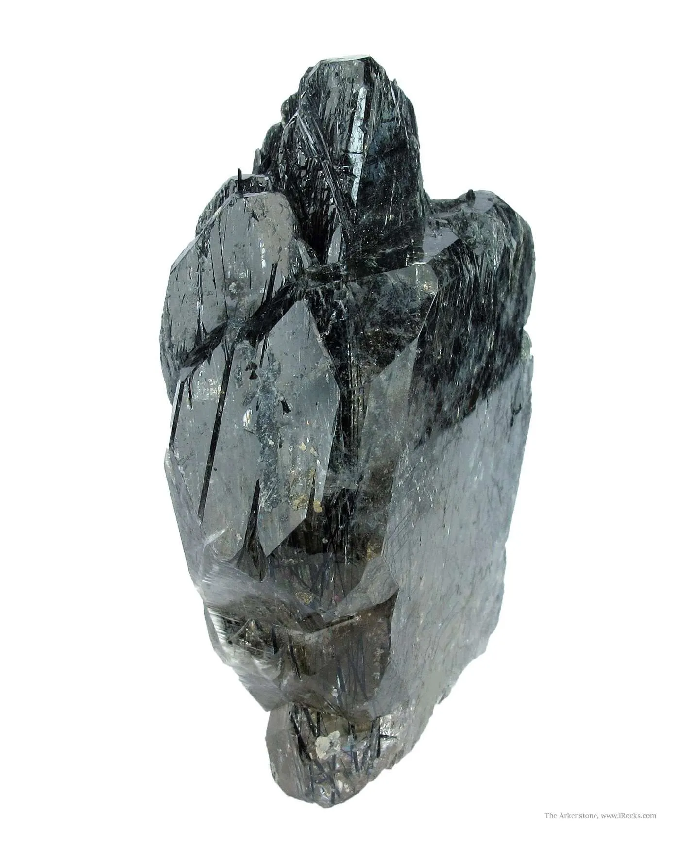 Fluorapatite and Actinolite - image 3