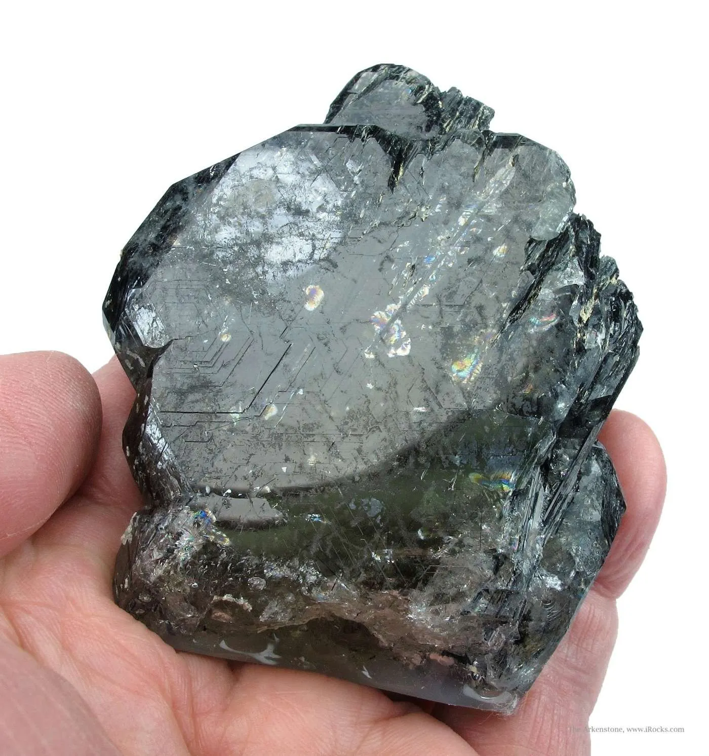 Fluorapatite and Actinolite - image 4