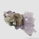 Fluorapatite and Fluorite (fluorescent) - image 6