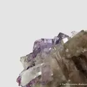 Fluorapatite and Fluorite (fluorescent) - image 4