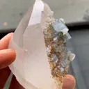 Fluorapatite and Quartz - image 5