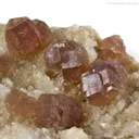 Fluorapatite and Quartz - image 4
