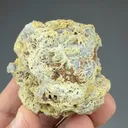 Fluorapatite (carbonate rich) - image 2