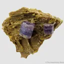 Fluorapatite - image 3