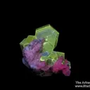 Fluorapatite (fl) on Albite (fl) - image 1