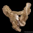 Fluorapatite (fluorescent) -1986 pocket - image 3