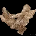 Fluorapatite (fluorescent) -1986 pocket - image 6