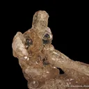 Fluorapatite (fluorescent) -1986 pocket - image 4