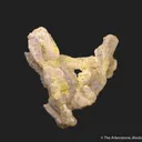 Fluorapatite (fluorescent) -1986 pocket - image 7