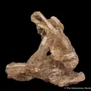 Fluorapatite (fluorescent) -1986 pocket - image 5