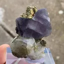 Fluorapatite, Fluorite and Chalcopyrite - image 5