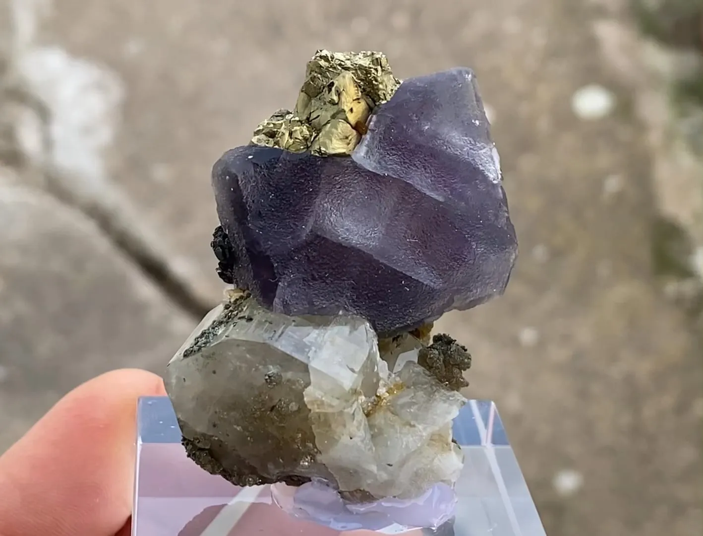 Fluorapatite, Fluorite and Chalcopyrite - image 5