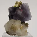 Fluorapatite, Fluorite and Chalcopyrite - image 3