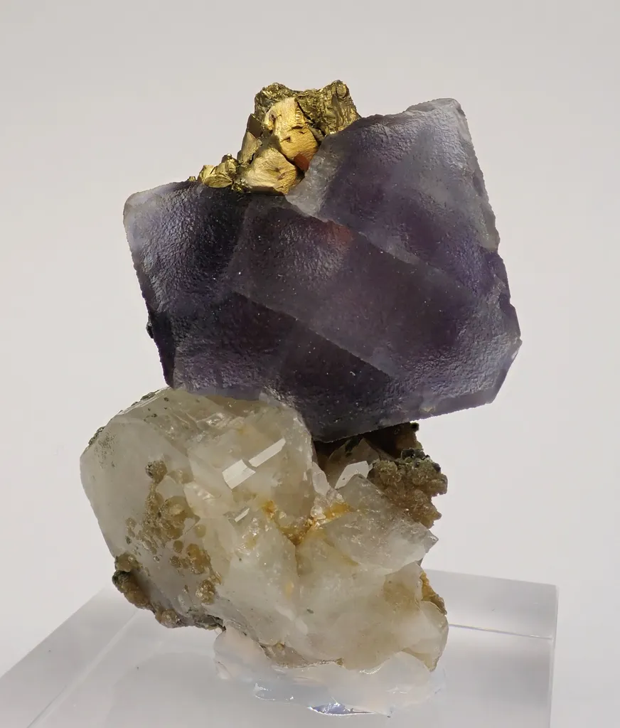 Fluorapatite, Fluorite and Chalcopyrite image