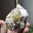 specimen video