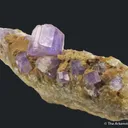 Fluorapatite (historic locality) - image 2