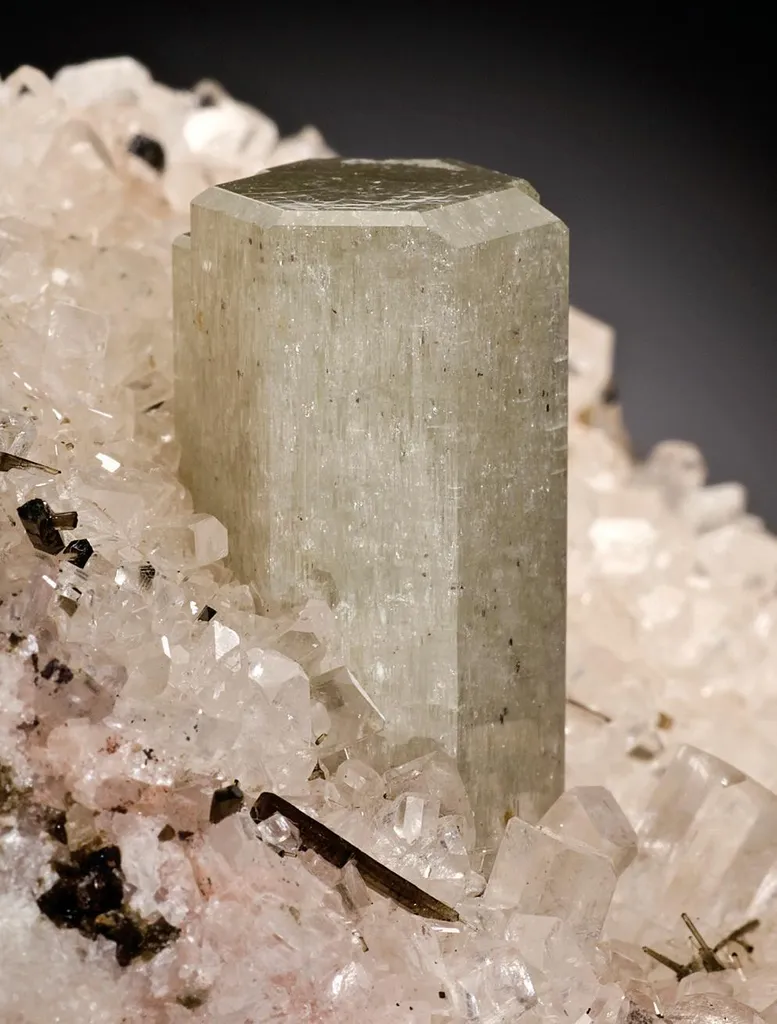 Fluorapatite, Magnesite image